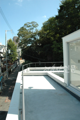 4cbbce3e2896f.jpg