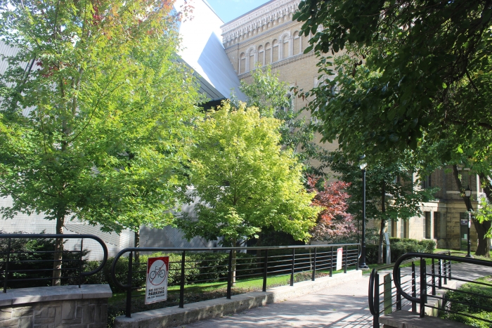 700_1419324976.jpg