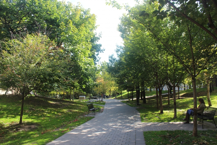 700_1419325133.jpg