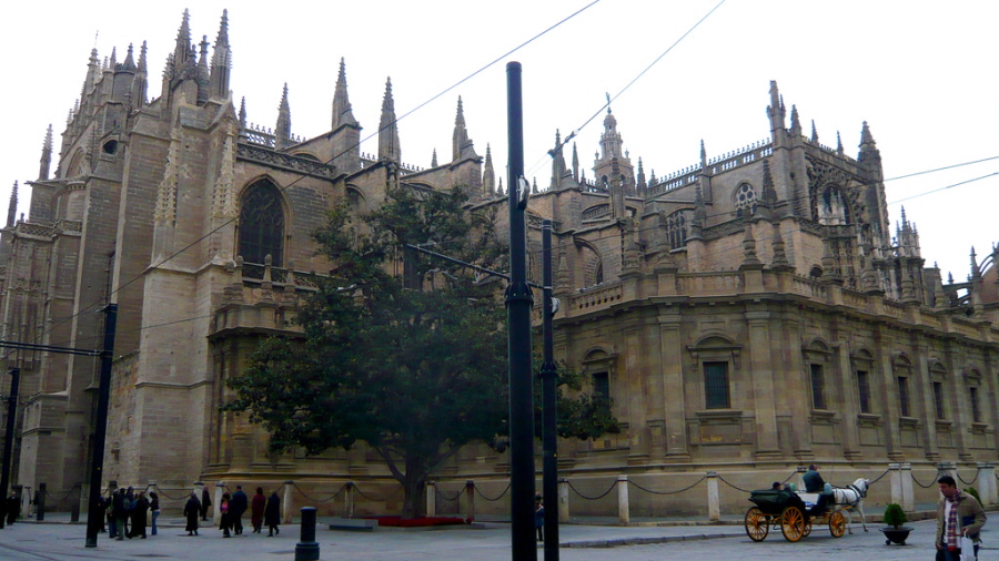 1541652853_41297.jpg